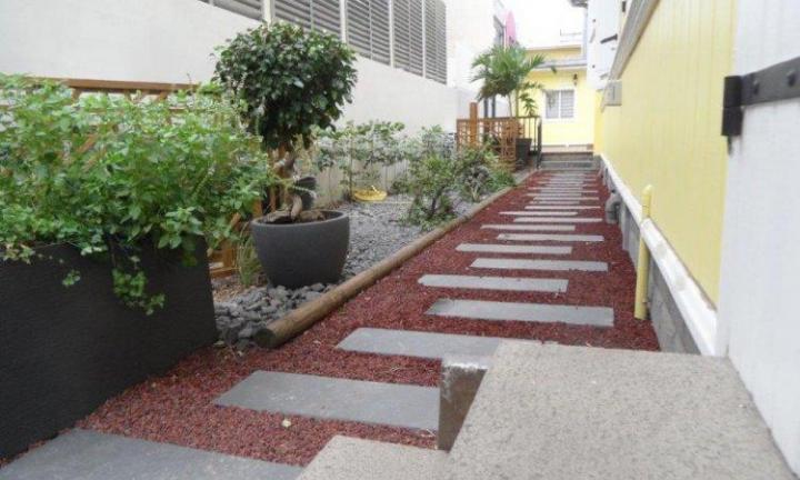 Travaux d’élagage et d’abattage d’arbres à La Réunion