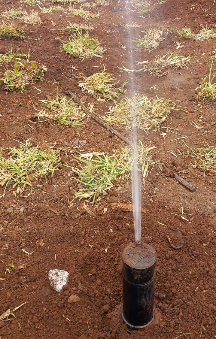 Système d’irrigation de jardins à La Réunion