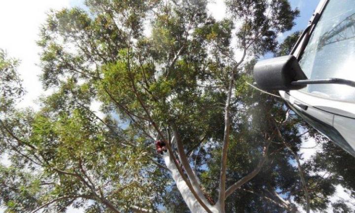 Système d’irrigation de jardins à La Réunion